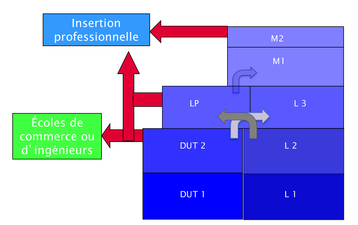 Inscription du DUT dans le parcours universitaire