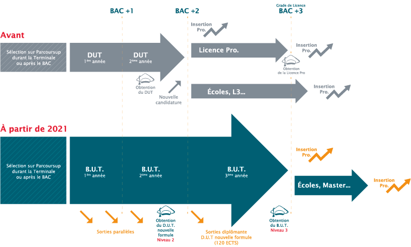 SCHEMA B.U.T.